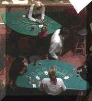 Brenda2004-05.jpg (26347 bytes)