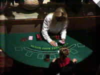 Brenda2004-06.jpg (42947 bytes)