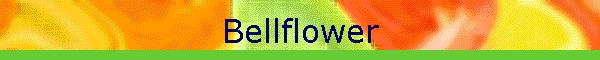 Bellflower