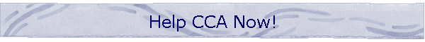 Help CCA Now!