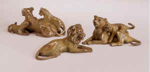 Lion Family