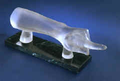 finger.jpg (24289 bytes)