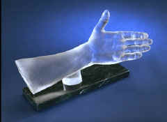 hand.jpg (26281 bytes)