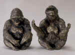 Two Gorillas