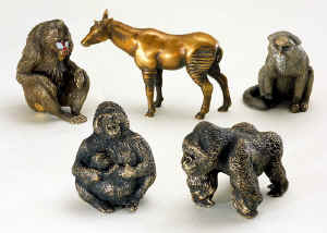 Out of Africa - Mandrill, Okapi, Monkey and Gorillas