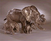 Innocence and Determination - Elephant Family