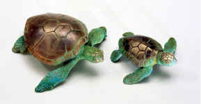 seaturtles.jpg (163446 bytes)