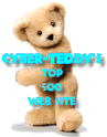 Cyber-Teddy